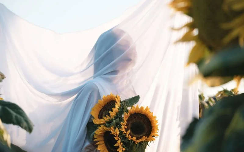 aesthetic photography tips