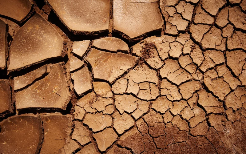 photo of cracked earth