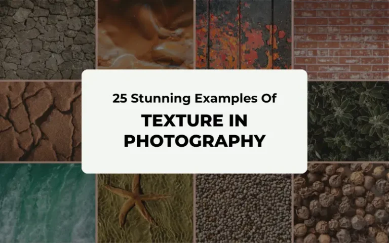 examples of texture in photography - featured image