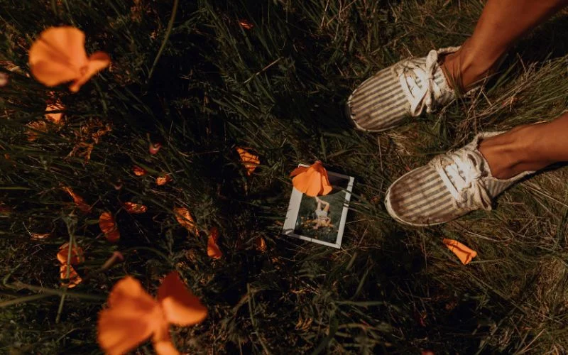 meaning of aesthetic photography