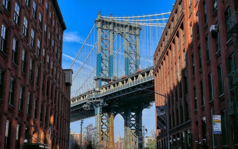 pattern focused photography