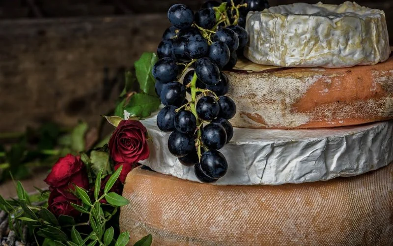 staged still life shots