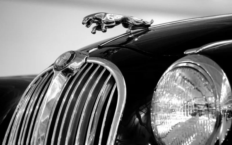 popular photography styles - Advertising