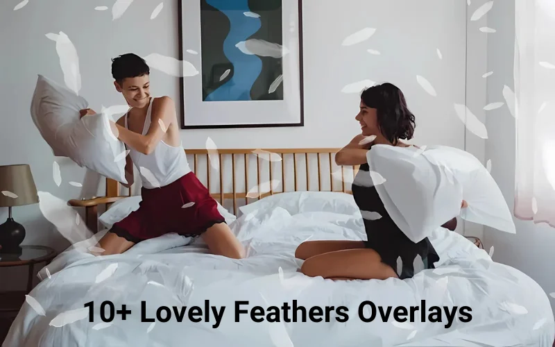 lovely feather overlays, feather overlays, white feathers overlay, photoshop overlays, cool photoshop overlays, photoshop overlay images