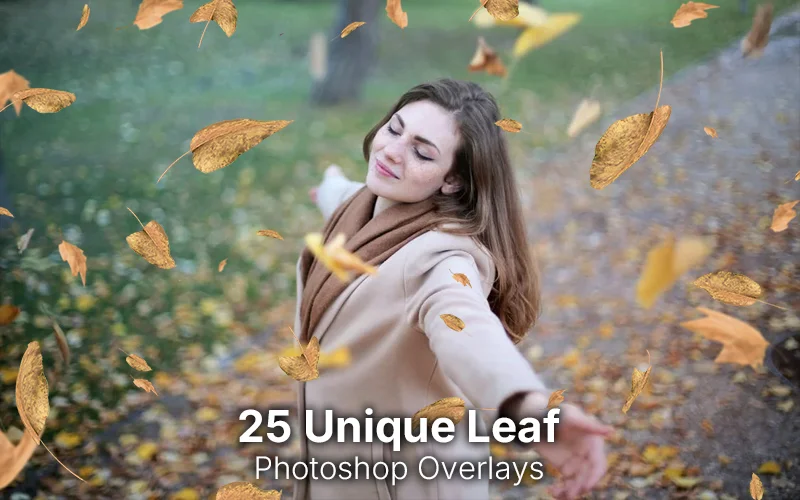 unique leaf overlays, single leaf overlays, leaf overlays, leaf ps overlays, photoshop overlays, best leaf overlays