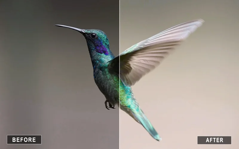 best photoshop actions, photoshop photo actions, photography actions, Top Photoshop actions, Best Photoshop action presets