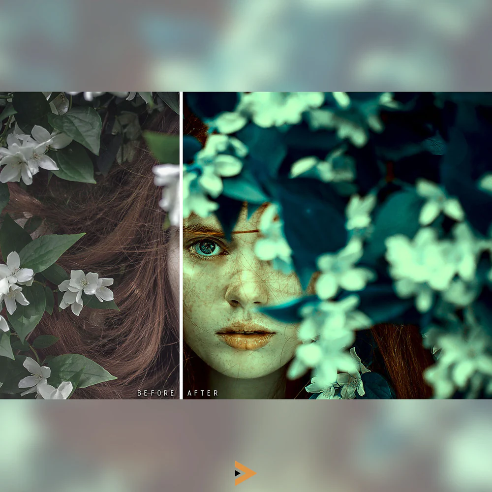 best photoshop actions, photoshop photo actions, photography actions, Top Photoshop actions, Best Photoshop action presets