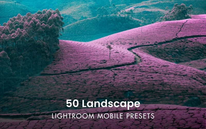 Lightroom presets, Adobe Lightroom presets, presets for lightroom, best lightroom presets, best lightroom mobile presets