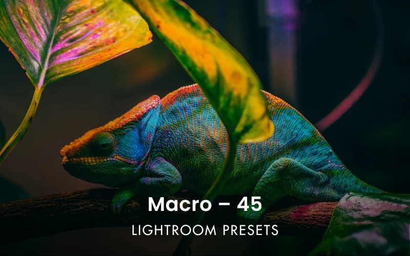 Lightroom presets, Adobe Lightroom presets, presets for lightroom, best lightroom presets, best lightroom mobile presets