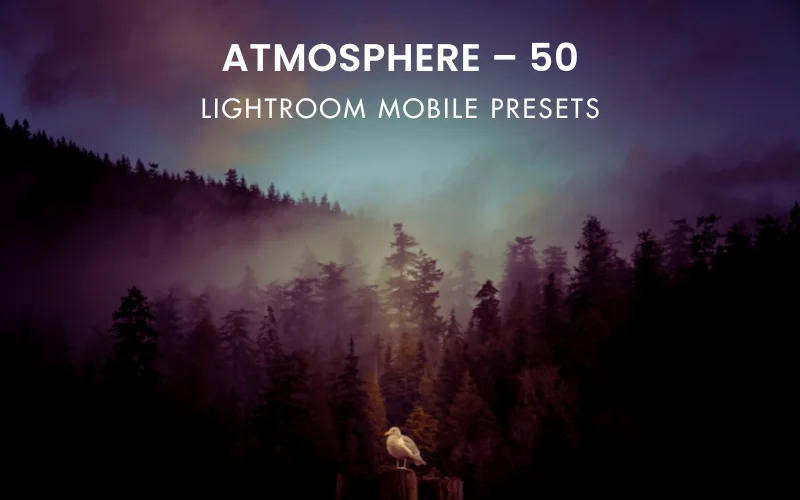 Lightroom presets, Adobe Lightroom presets, presets for lightroom, best lightroom presets, best lightroom mobile presets