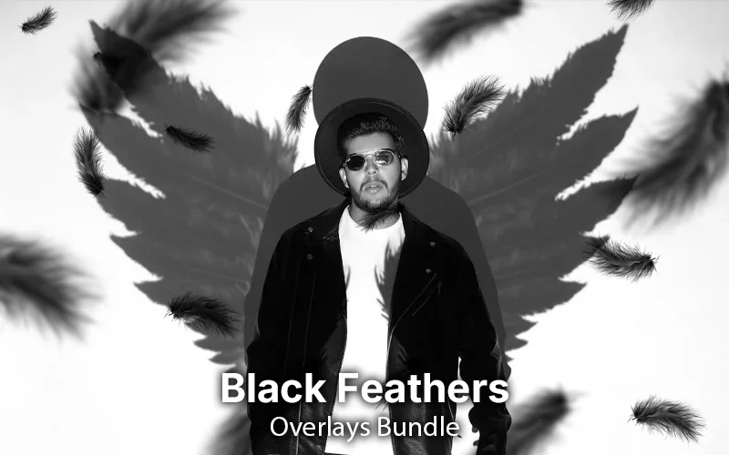 black feather overlays, feather overlays, feather ps overlays, lovely feather overlays, photoshop overlays, best ps overlays