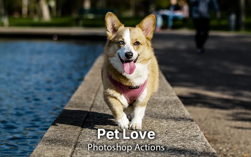 pet photoshop overlays, pet overlay, pet ps overlay,