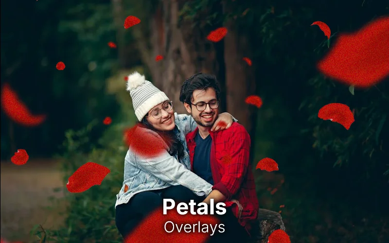 petal overlays, ps petal overlays, petal photoshop overlays, cool photoshop overlays, best photoshop overlays, photoshop overlay images, photoshop overlays