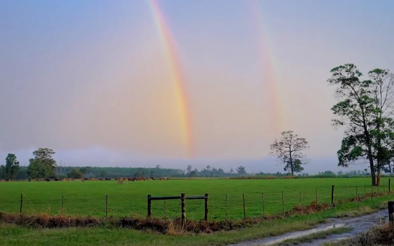rainy day photo ideas, rain photoshoot ideas, raindrops on flowers, rainy day picture ideas, Playing in the Rain Photos, outdoor rainy day photoshoot, umbrella photo ideas, street photography in the rain