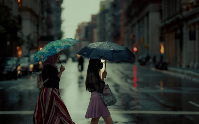 rainy day photo ideas, rain photoshoot ideas, raindrops on flowers, rainy day picture ideas, Playing in the Rain Photos, outdoor rainy day photoshoot, umbrella photo ideas, street photography in the rain