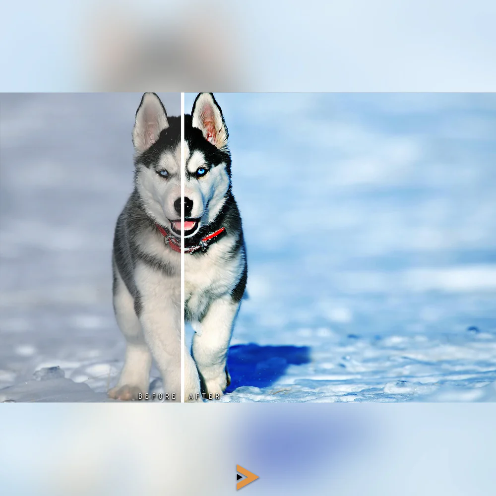 best photoshop actions, photoshop photo actions, photography actions, Top Photoshop actions, Best Photoshop action presets