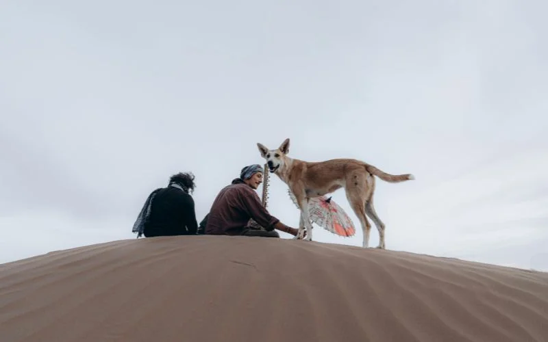 travel photography techniques of rule of thirds