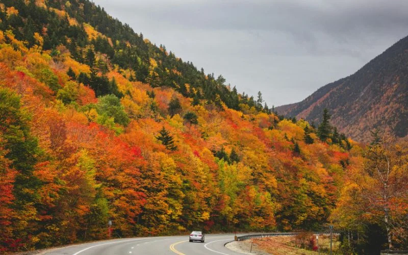 travel photography techniques of leadng lines