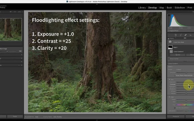 storytelling edits, editorial mood, rustic tones, cool shadows, faded highlights, underexposed look, fine art editing, dramatic lighting