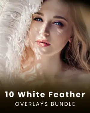 feather overlay, Soft white feather overlay, Fantasy white feather overlay, photoshop resources