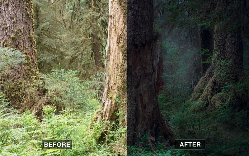 cinematic editing, dramatic tones, deep contrast