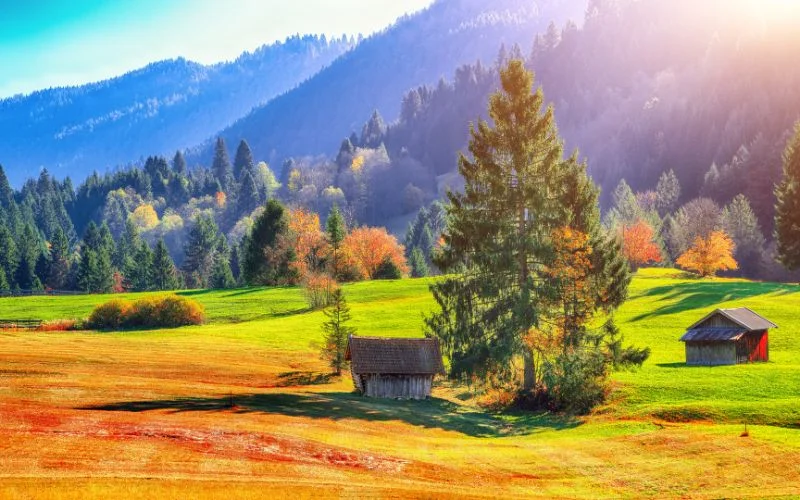 how to sell stock photos in 2026