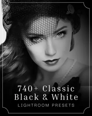 lightroom black and white presets