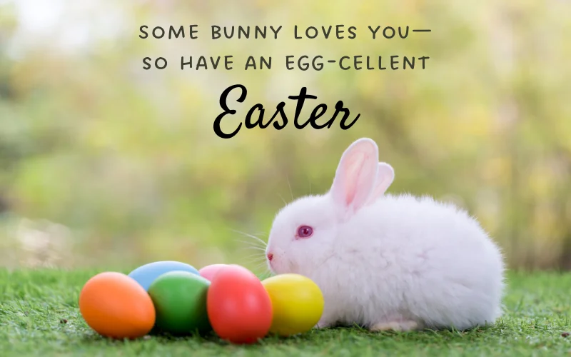 funny easter quotes, hilarious easter quotes, funny easter quotes and sayings, funny easter sunday quotes, silly easter quotes