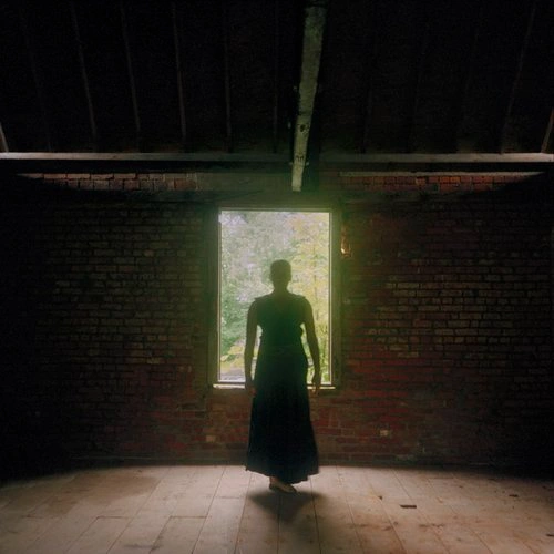 Black photographers, Black photography pioneers, African American photographers , Black artists in photography