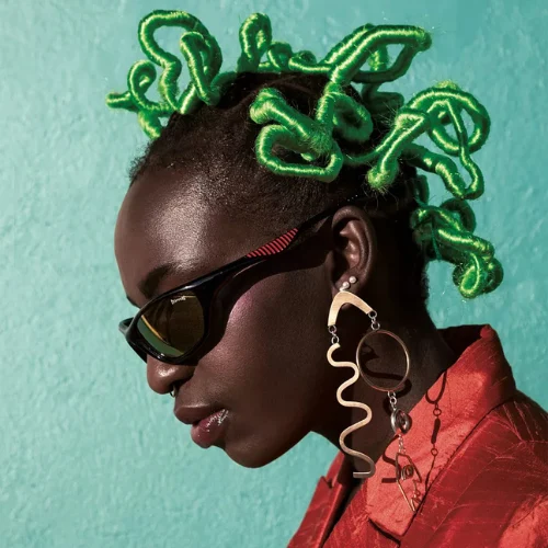 Black photography pioneers, African American photographers , Black artists in photography