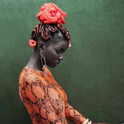 African American photographers , Black artists in photography