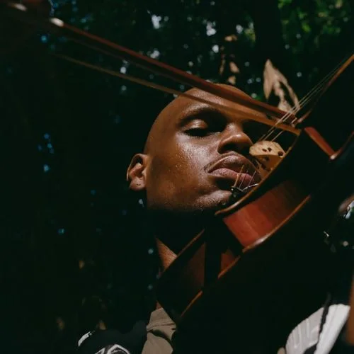 Black photography pioneers, African American photographers , Black artists in photography