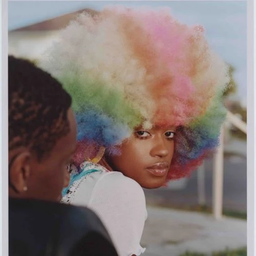 Black photography pioneers, African American photographers , Black artists in photography