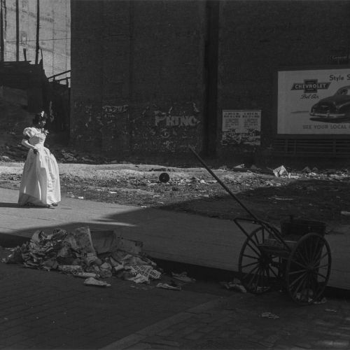 Black photographers, Black photography pioneers, African American photographers , Black artists in photography