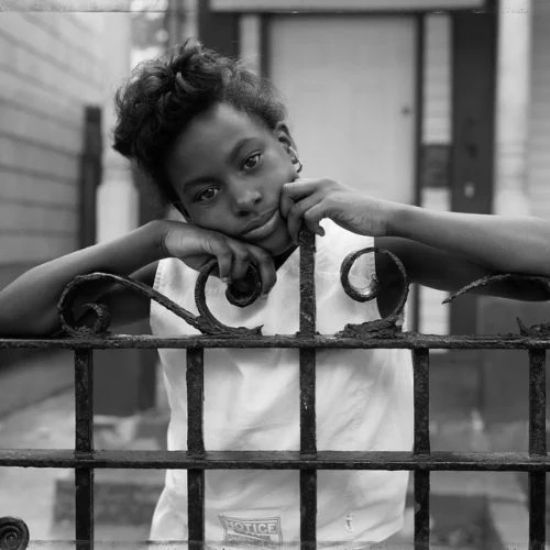 Black photography pioneers, African American photographers , Black artists in photography