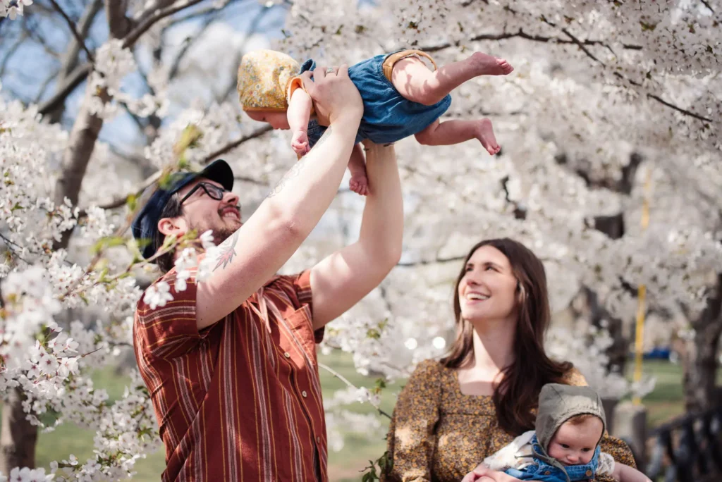 Cherry Blossom Festivals
