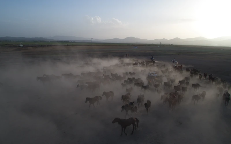 luminar neo sky replacement, feature before, skylum luminar neo