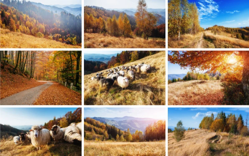 Nature Photography Hashtags, Insta Tags for Nature Photography, Nature Photography Instagram