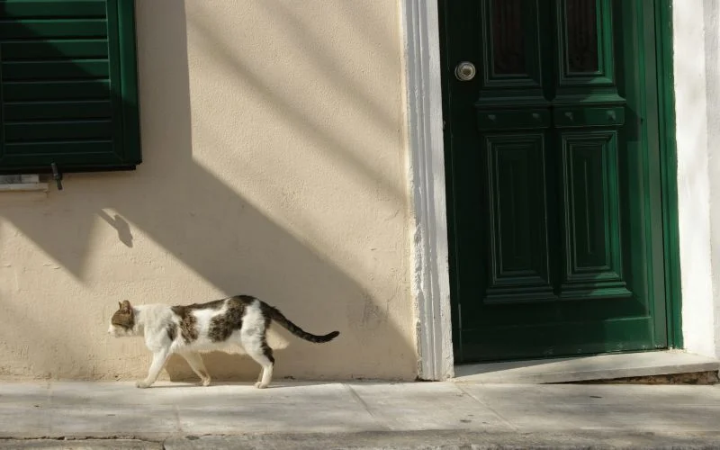 unbalanced composition, dynamic composition, visual tension, asymmetrical composition