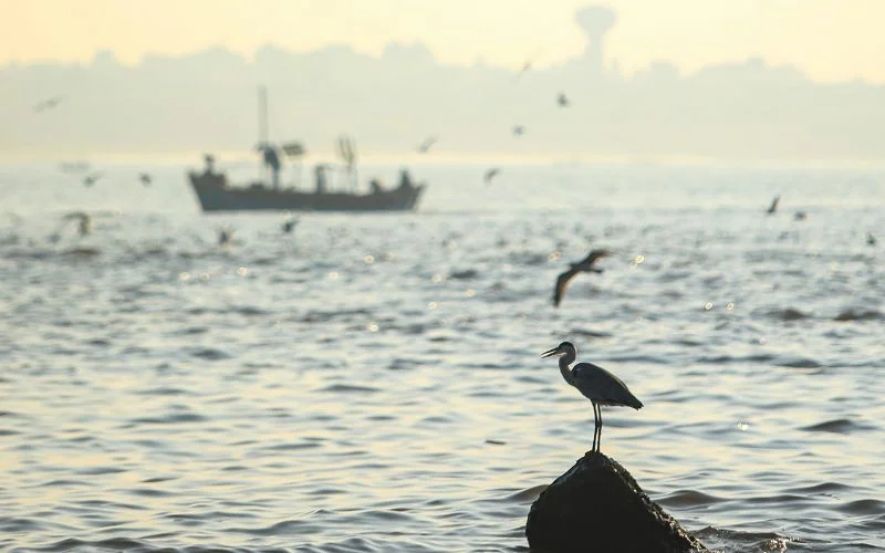 asymmetrical balance in photography, asymmetrical composition, asymmetry in photography, visual weight