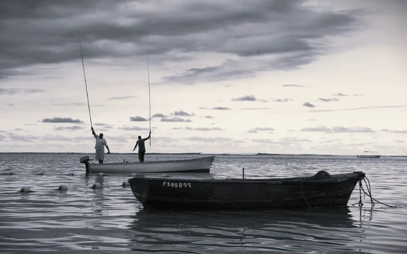 image showing the proper proportion of dark and white elements in the photo