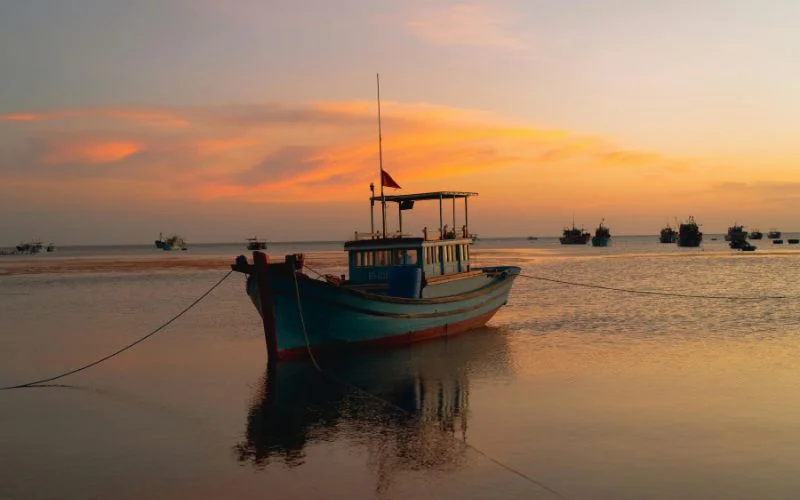 photography composition, composition techniques, photo composition tips