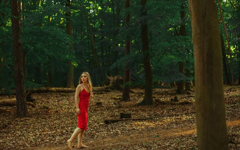 photography composition, thirds grid, visual balance, framing in photography