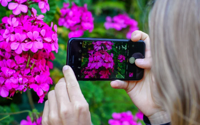 iPhone photography tips - Try Photographic Styles