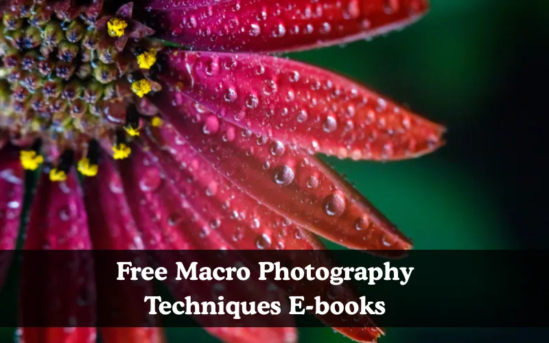 Free Macro Photography Techniques E-books, Free Macro photography ebook
