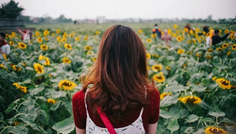 Casual solo summer photoshoot in a Sunflower Field