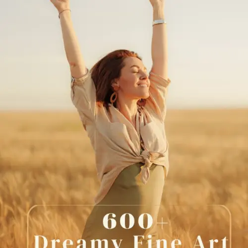 lightroom bundle, fine art lightroom presets, premium adobe lightroom addons