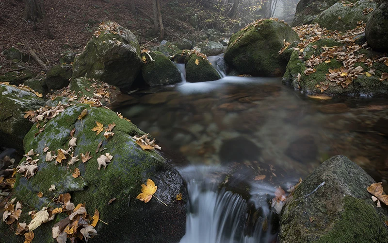 The Source Before landscape editing