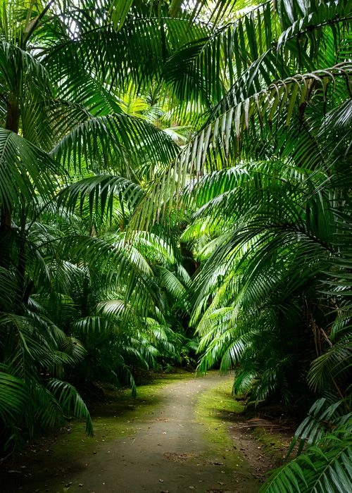 creative landscape imagery by photographer donis