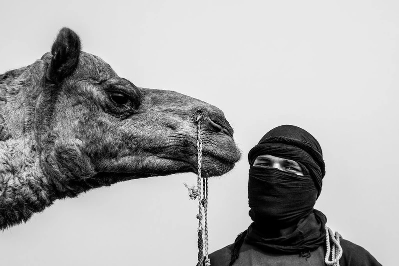 Dubai, animal photography , black and white photography, monochrome